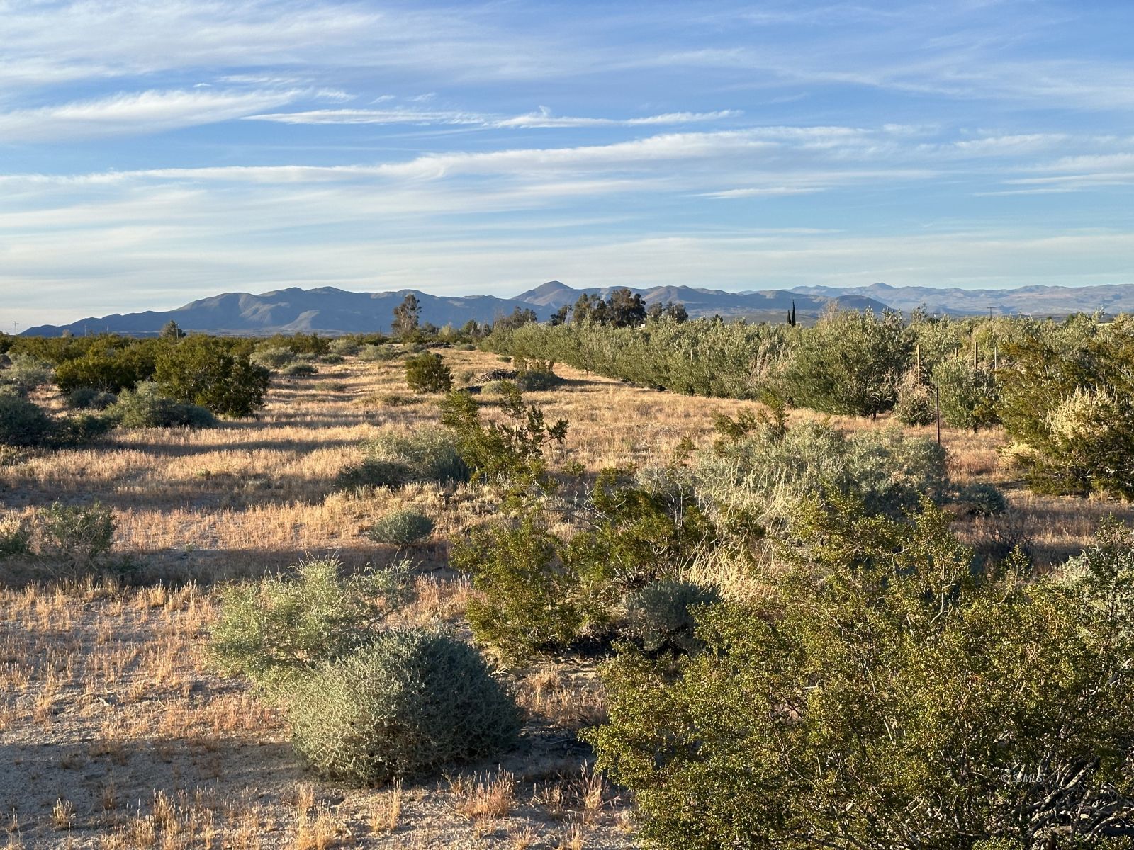 56-252-1 Tumbleweed Street Inyokern, CA 93527 - Photo 7 of 7