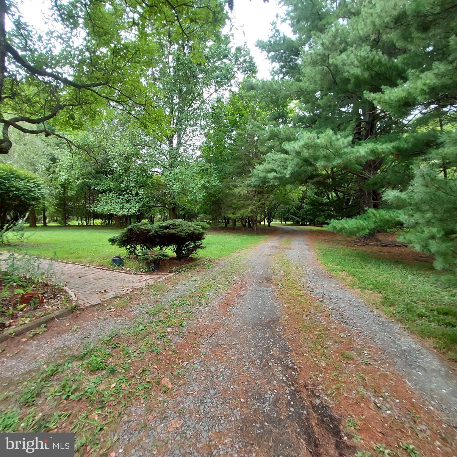329 Pennington - Titusville Road Pennington, NJ 08534 - Photo 51 of 59 Driveway