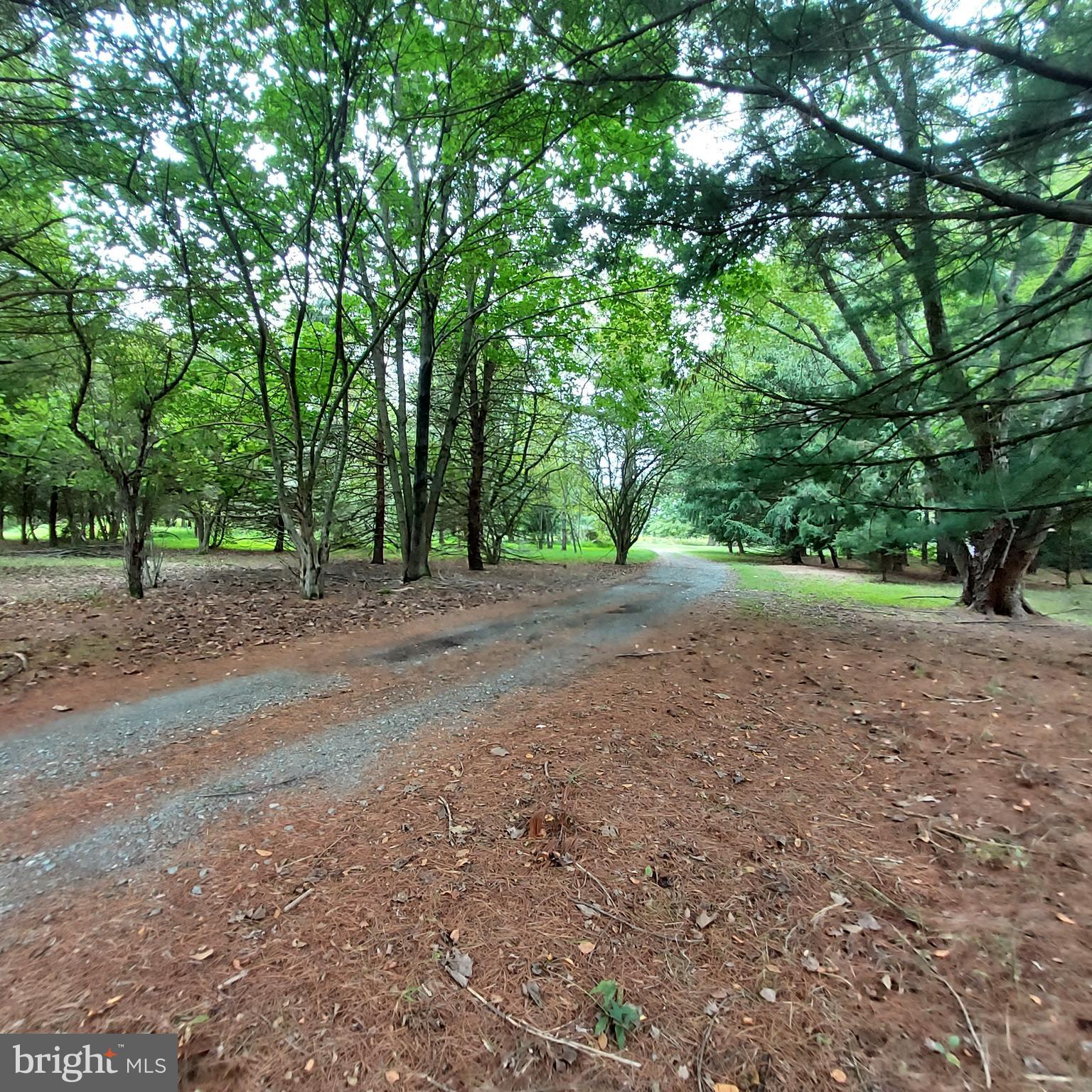 329 Pennington - Titusville Road Pennington, NJ 08534 - Photo 54 of 59 Private Driveway