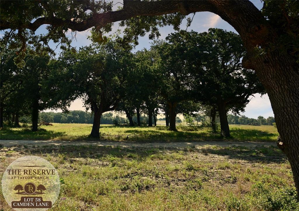 Lot 58 Camden Lane Springtown, TX 76082 - Photo 1 of 8 a view of a yard with a tree