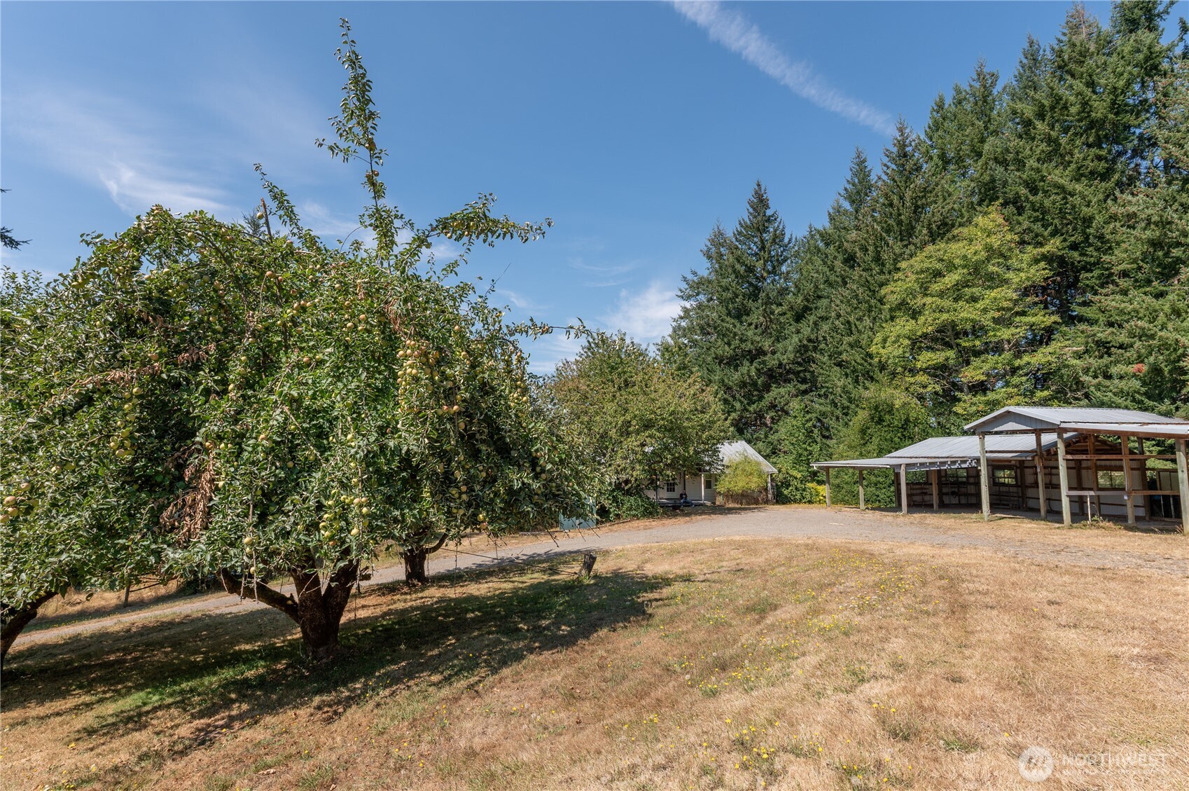20648 Backman Road Southwest Rochester, WA 98579 - Photo 8 of 24 Gallery Image 8