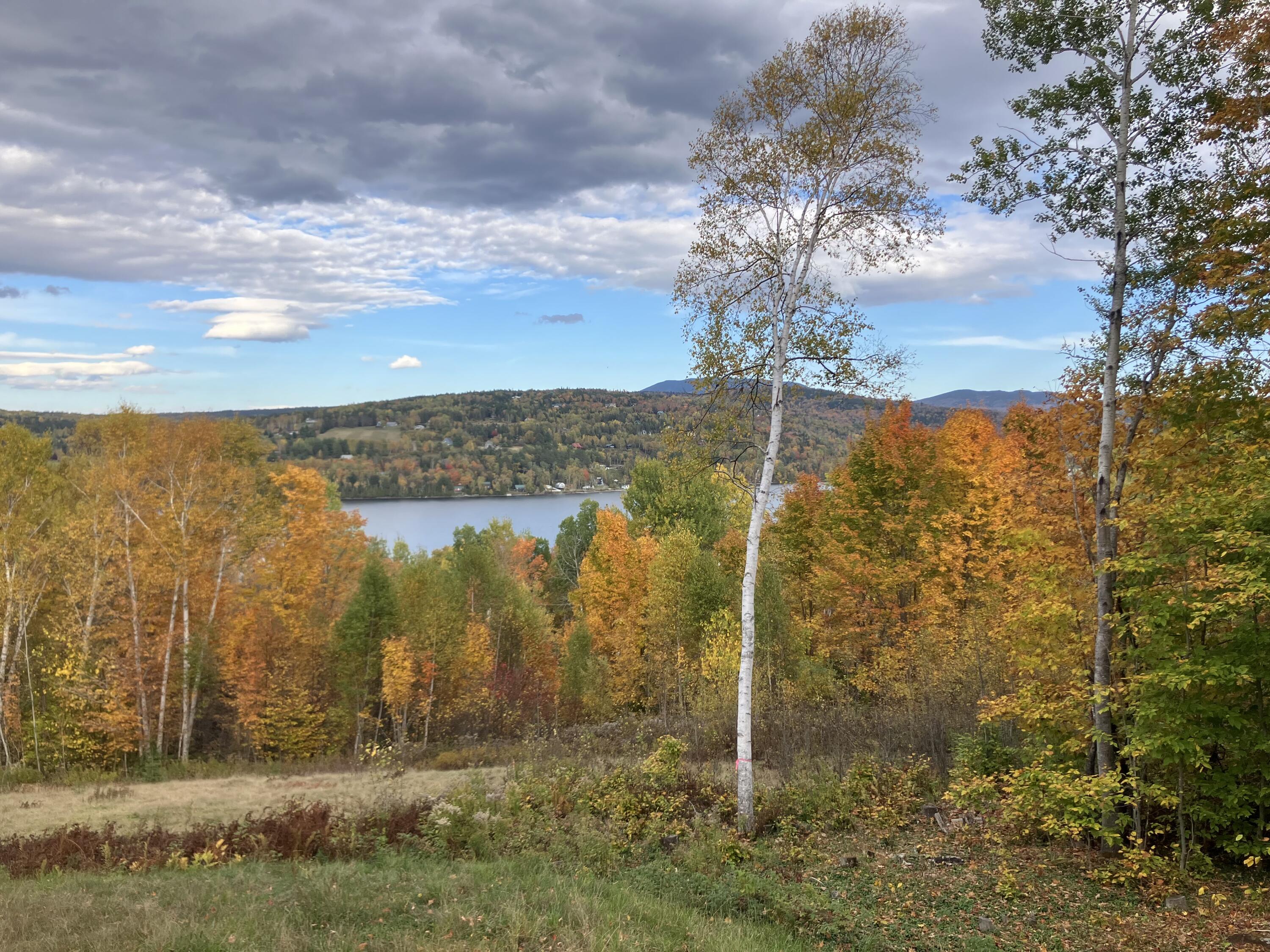 19 Curley Road Rangeley, ME 04970 - Photo 52 of 56 IMG_8222