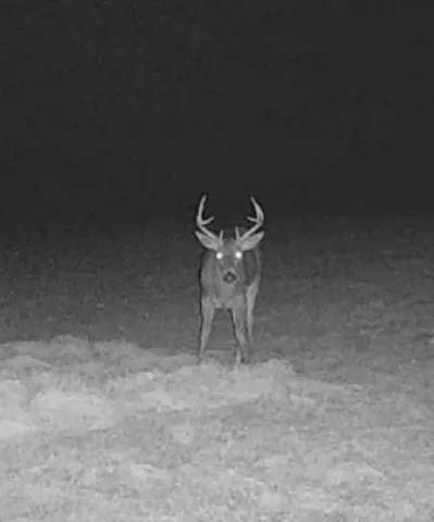 $569,900 | N28881 County Road South, Preston, WI 54616