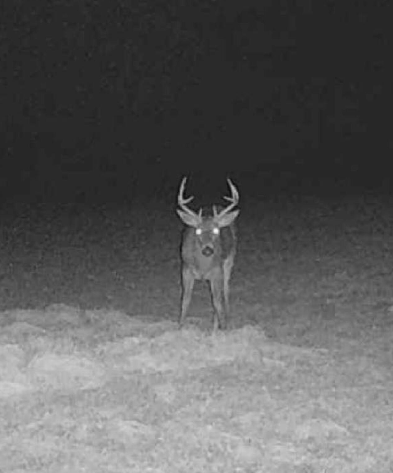 N28881 County Road South Preston, WI 54616 - Photo 40 of 42 IMG_20250822_121021