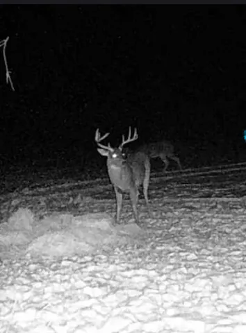 $569,900 | N28881 County Road South, Preston, WI 54616