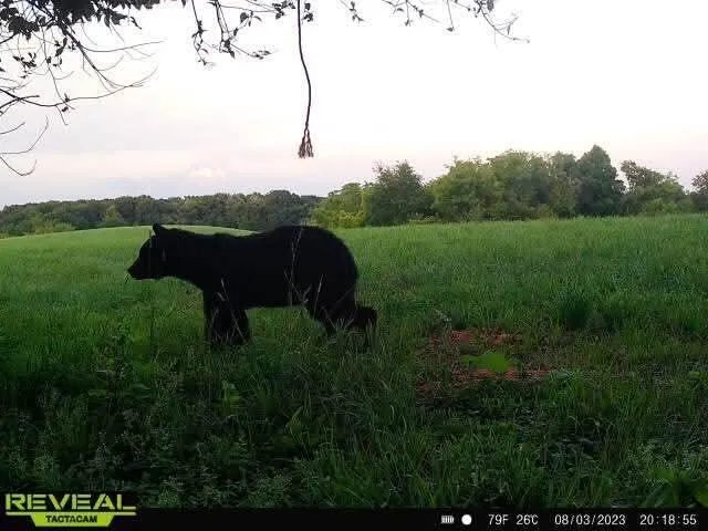 $569,900 | N28881 County Road South, Preston, WI 54616