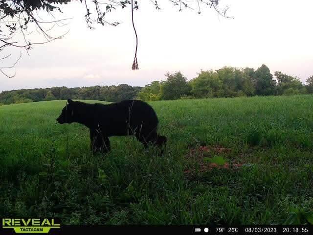 N28881 County Road South Preston, WI 54616 - Photo 42 of 42 IMG_20250822_121031