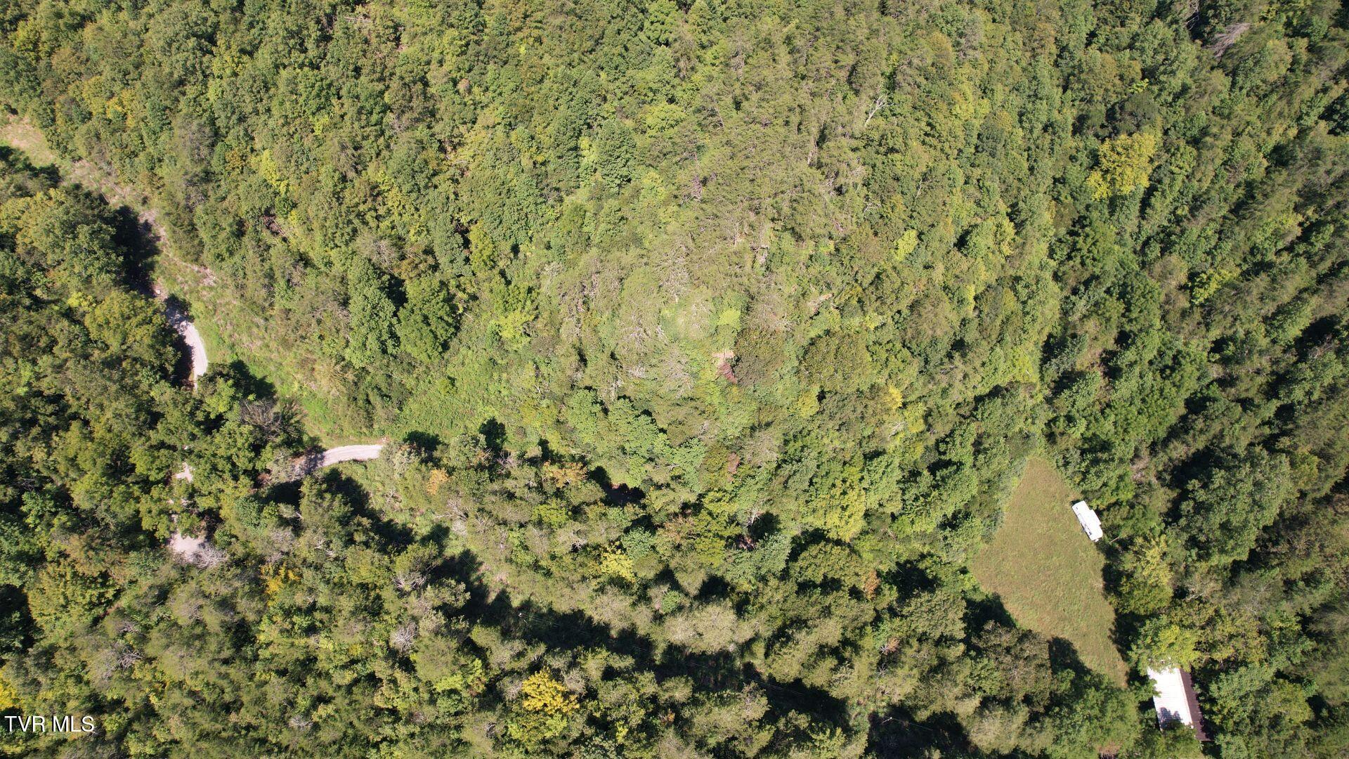 3665 Fisher Valley Road Kyles Ford, TN 37765 - Photo 4 of 14 4