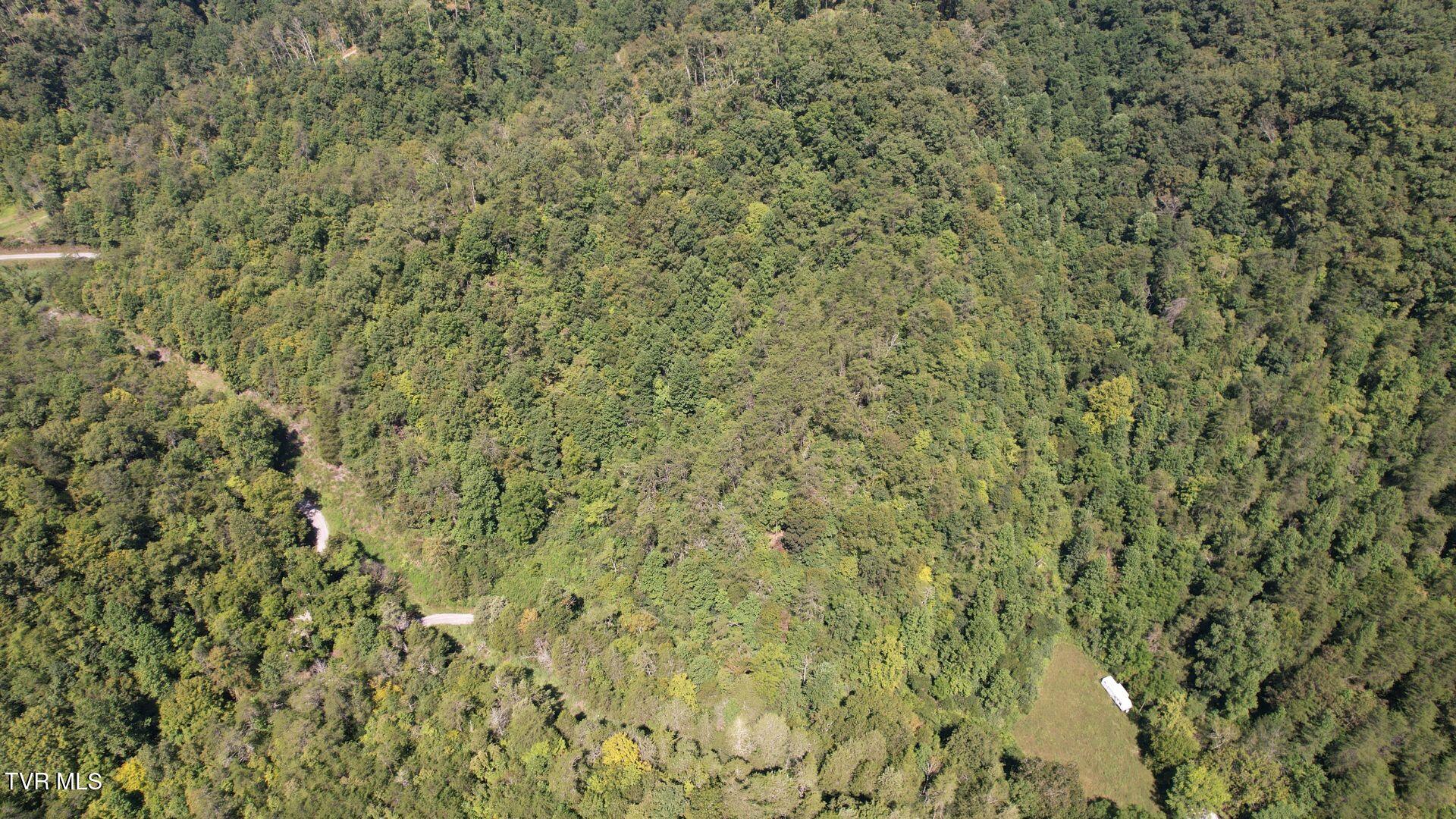 3665 Fisher Valley Road Kyles Ford, TN 37765 - Photo 5 of 14 5