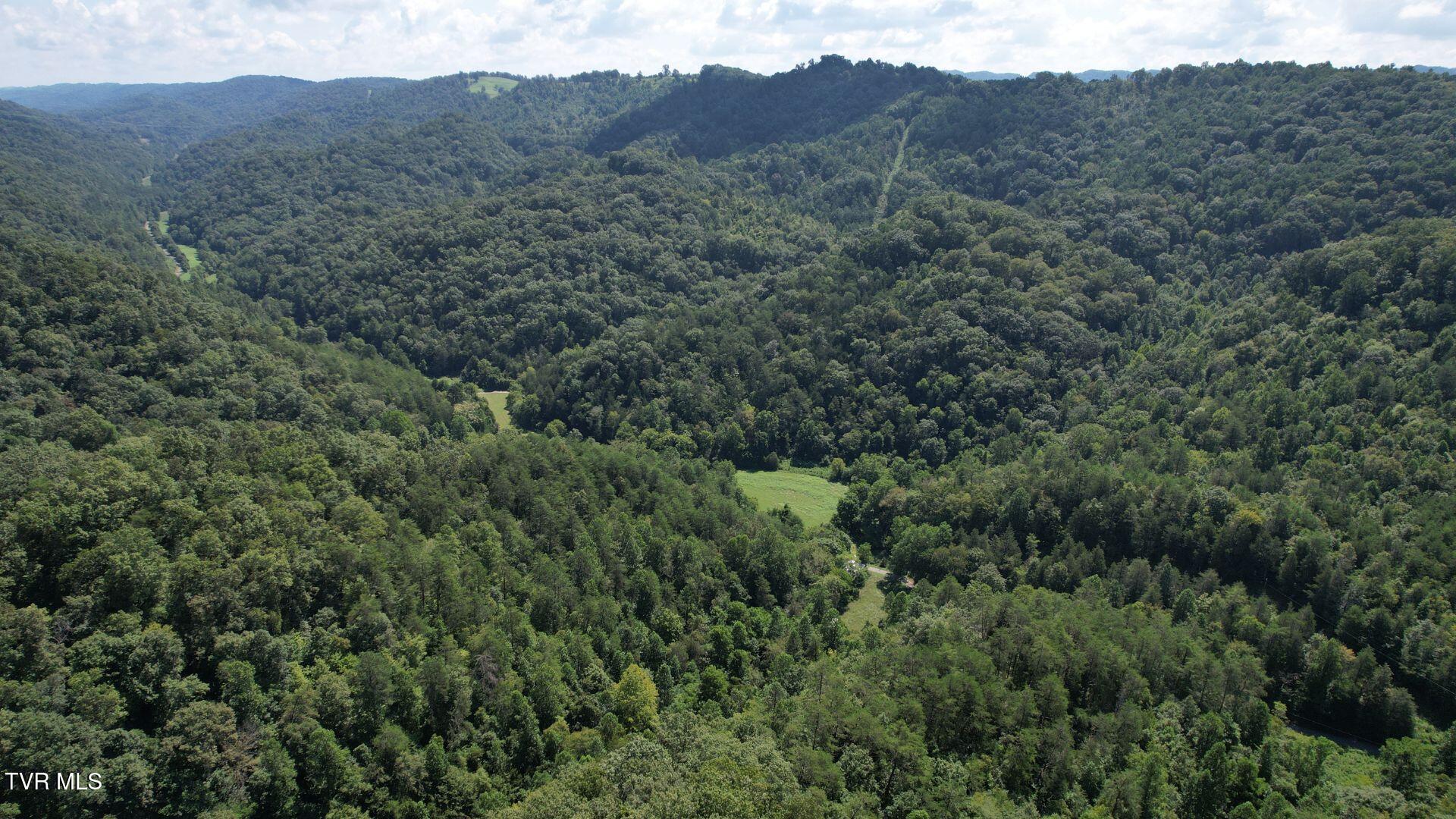 3665 Fisher Valley Road Kyles Ford, TN 37765 - Photo 8 of 14 8