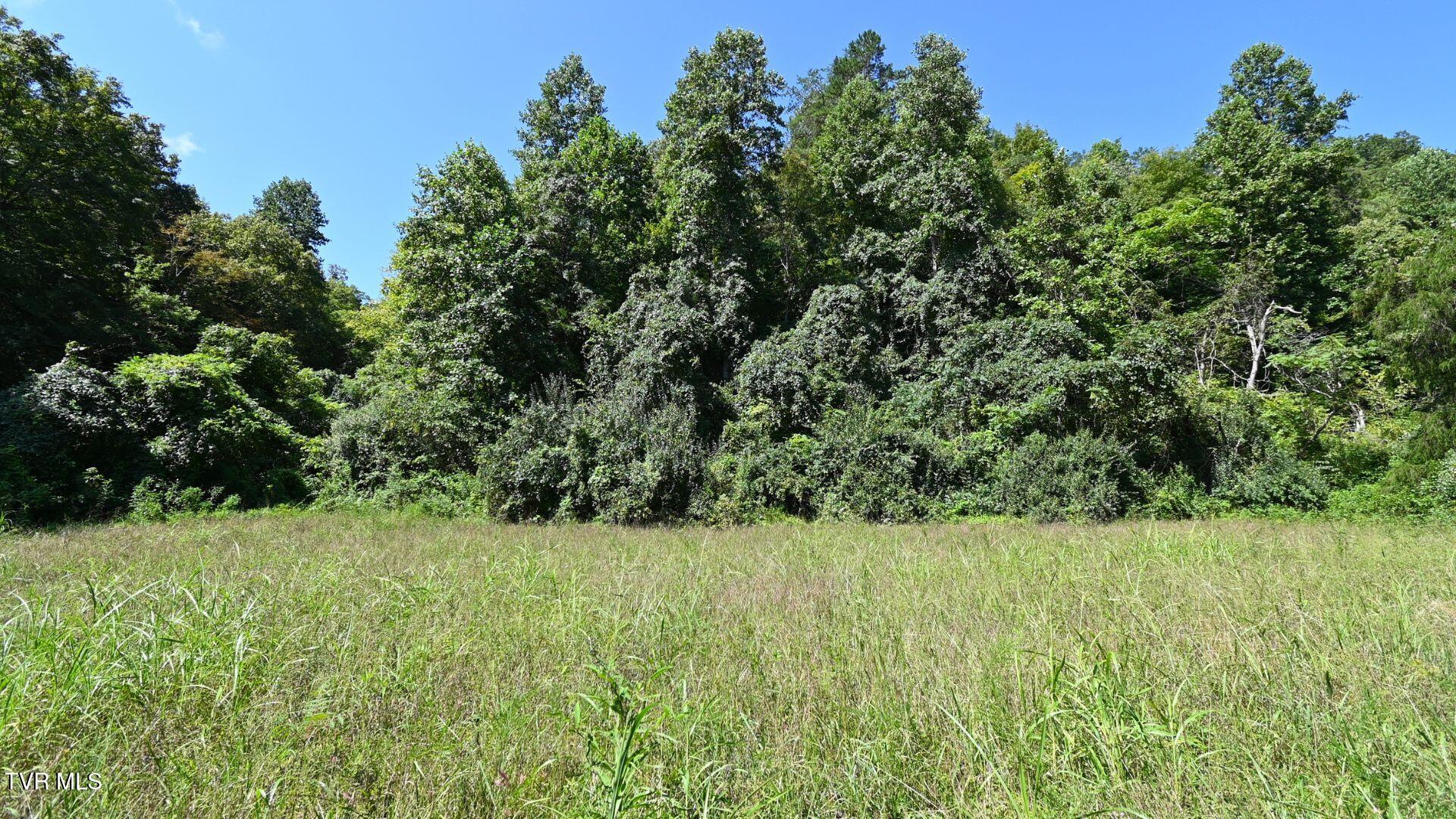 3665 Fisher Valley Road Kyles Ford, TN 37765 - Photo 9 of 14 9