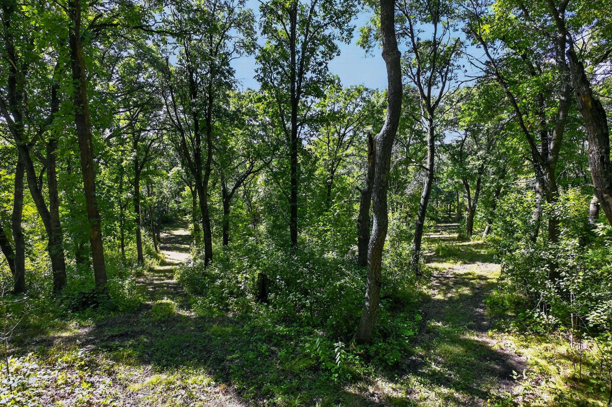 50540 Snow Lake Road Vining, MN 56588 - Photo 60 of 89 Gallery Image 60