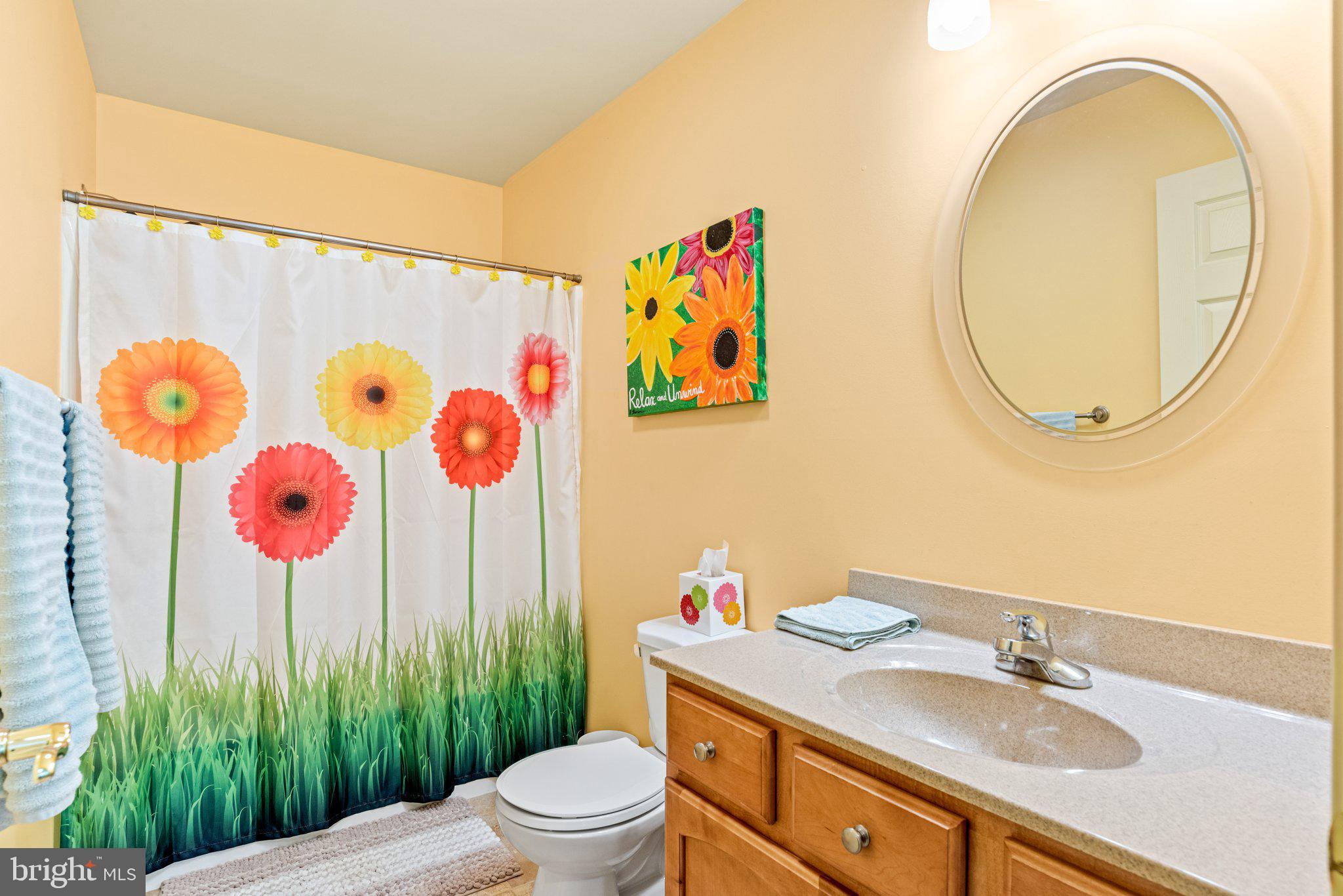 159 Dividing Ridge Road Halifax, PA 17032 - Photo 31 of 57 a bathroom with a sink mirror vanity and toilet