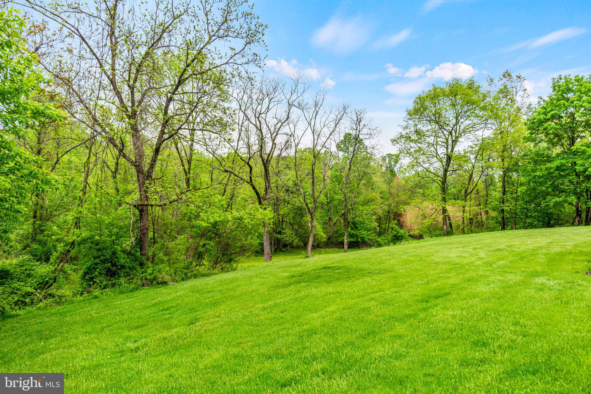 159 Dividing Ridge Road Halifax, PA 17032 - Photo 52 of 57 a view of a grassy field with trees