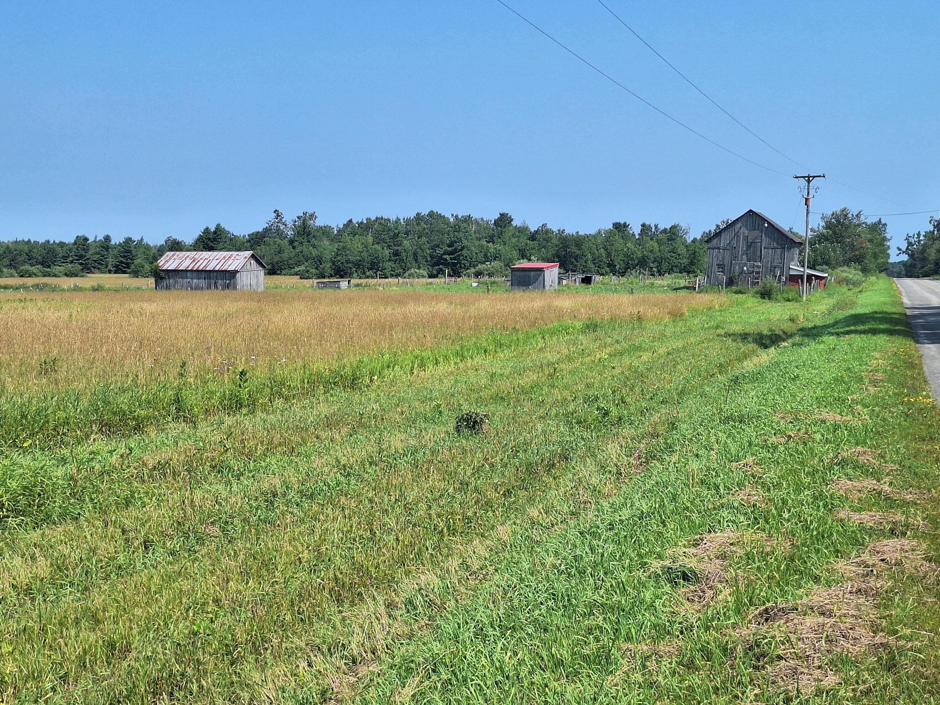 1035 North Poor Farm Road Harrisville, MI 48740 - Photo 7 of 7 Gallery Image 7