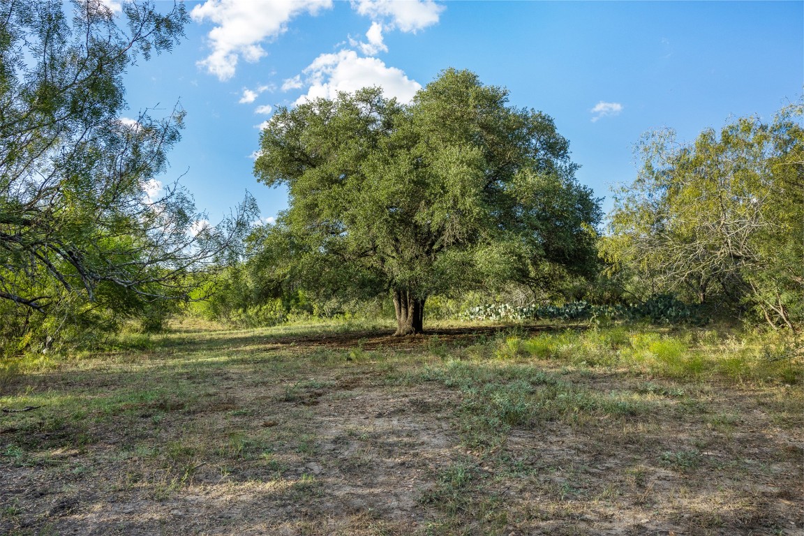 399 Seals Creek Road Lockhart, TX 78644 - Photo 12 of 40 a view of outdoor space and yard