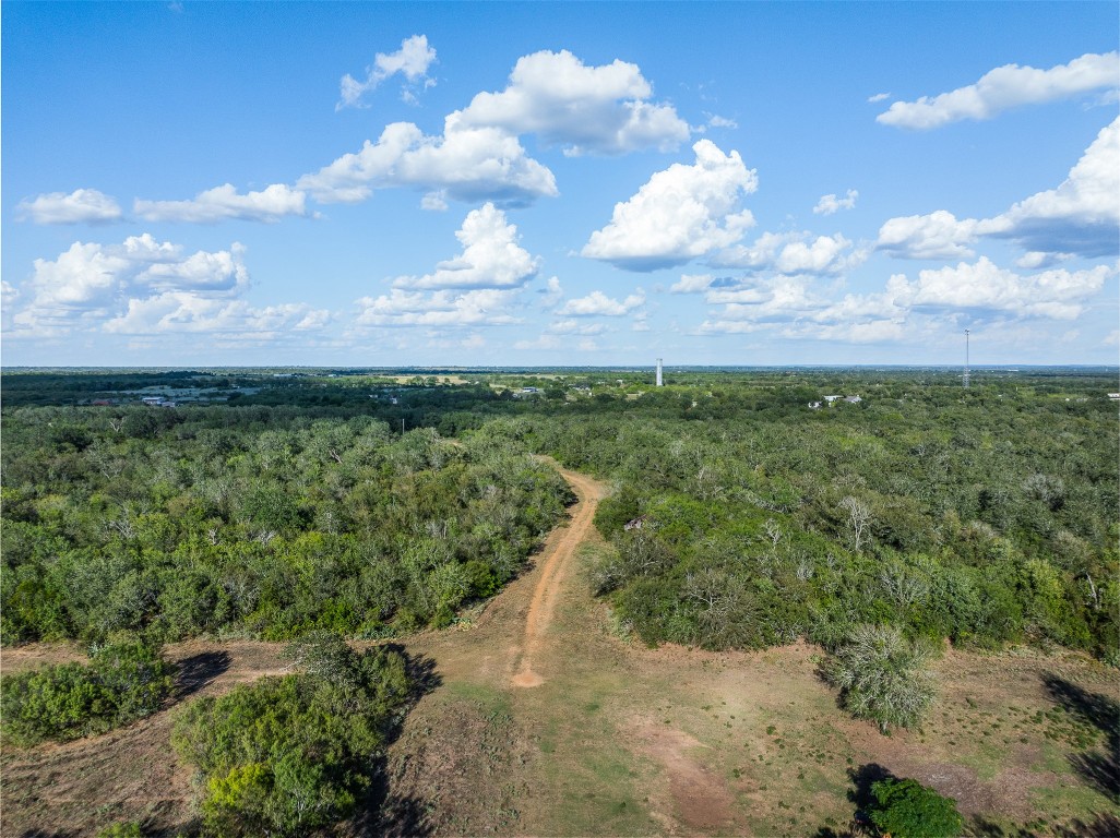 399 Seals Creek Road Lockhart, TX 78644 - Photo 23 of 40 a view of a big yard with lots of green space and mountain view