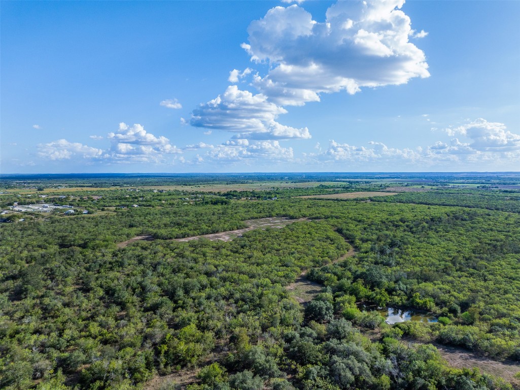 399 Seals Creek Road Lockhart, TX 78644 - Photo 27 of 40 a view of a big yard with lots of green space and mountain view
