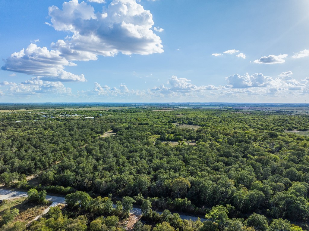 399 Seals Creek Road Lockhart, TX 78644 - Photo 29 of 40 a view of a big yard with lots of green space and mountain view
