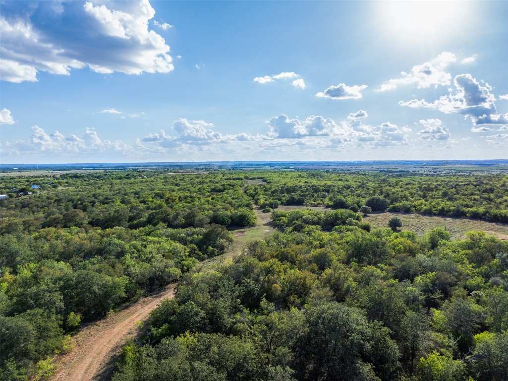 399 Seals Creek Road Lockhart, TX 78644 - Photo 30 of 40 a view of a lake with a city