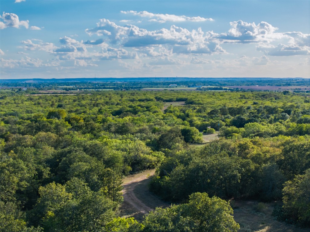 399 Seals Creek Road Lockhart, TX 78644 - Photo 35 of 40 Bird's eye view of a forest