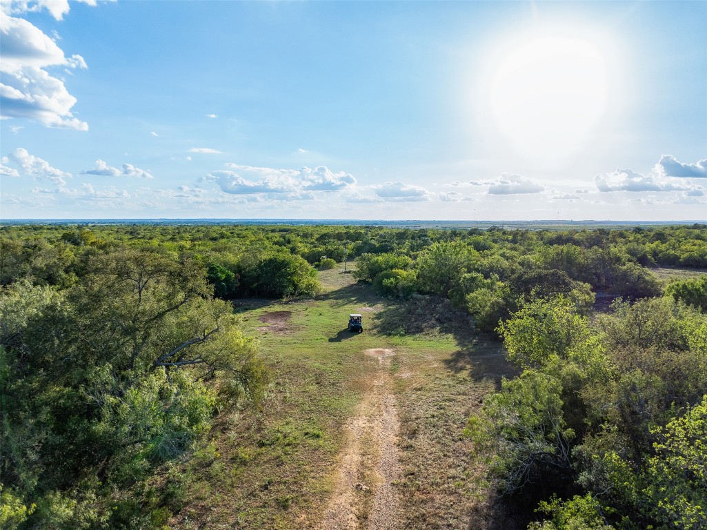 399 Seals Creek Road Lockhart, TX 78644 - Photo 39 of 40 a view of outdoor space and yard