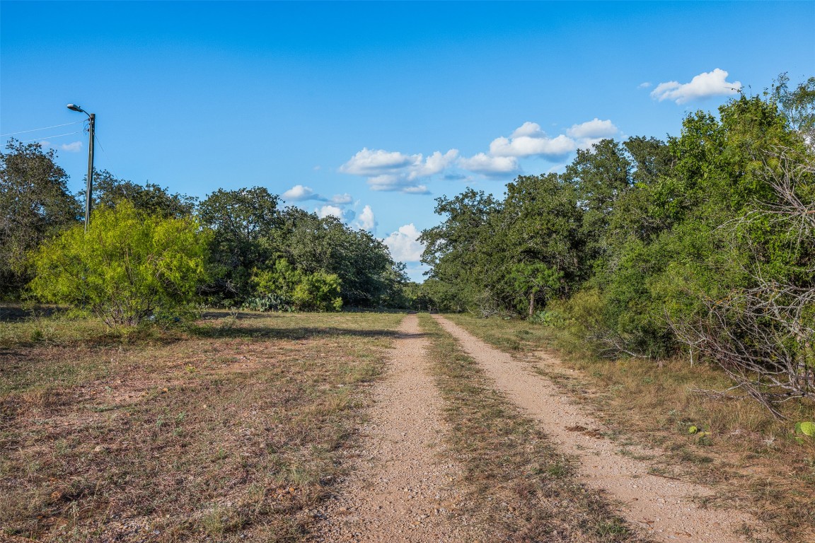 399 Seals Creek Road Lockhart, TX 78644 - Photo 4 of 40 a view of a yard with a tree