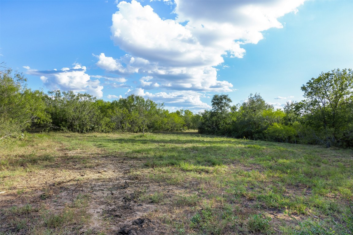 399 Seals Creek Road Lockhart, TX 78644 - Photo 10 of 40 a view of outdoor space and yard