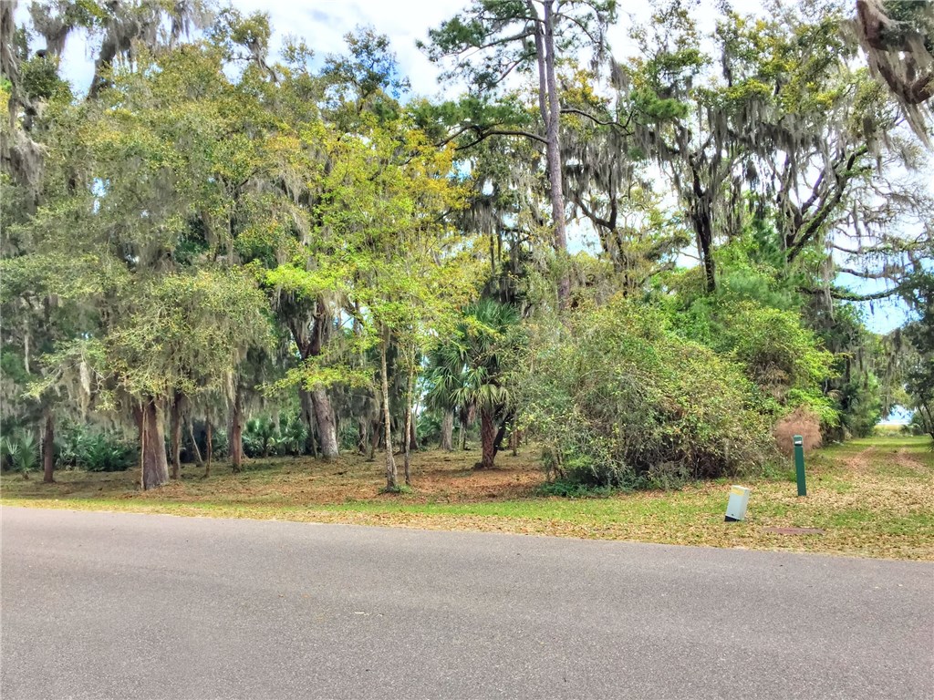 96018 Brady Point Road Fernandina Beach, FL 32034 - Photo 1 of 10 Gallery Image 1