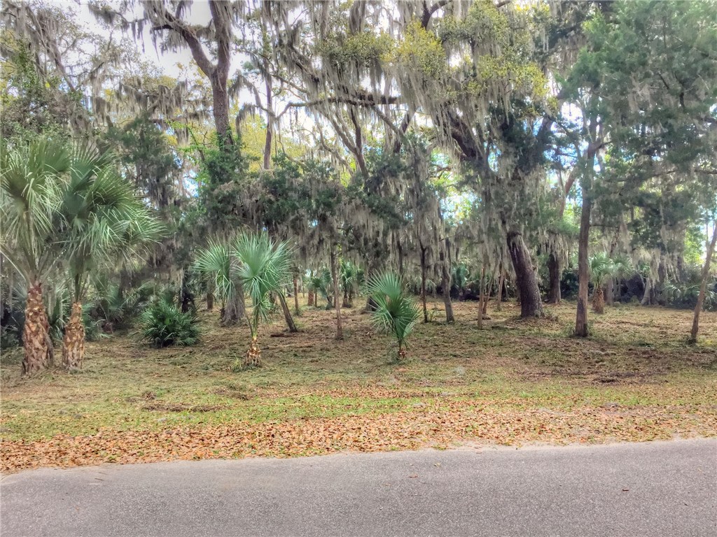 96018 Brady Point Road Fernandina Beach, FL 32034 - Photo 3 of 10 Gallery Image 3
