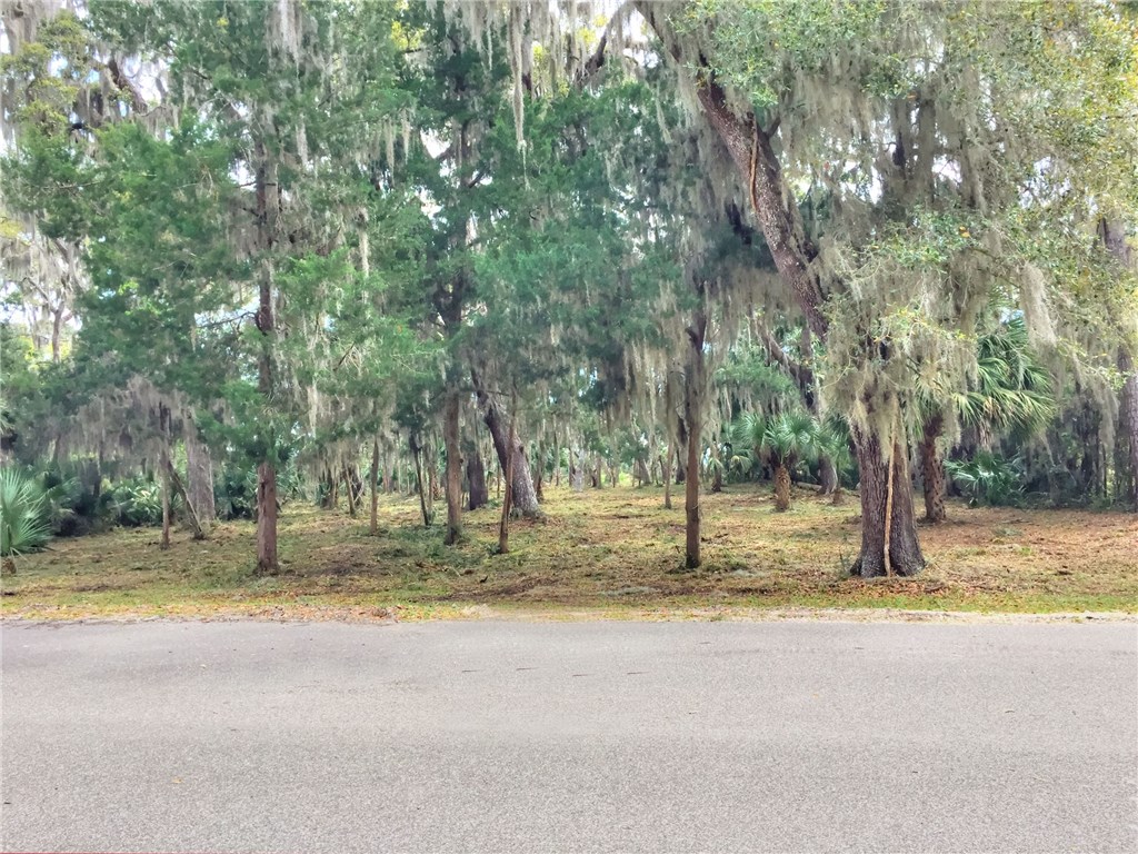 96018 Brady Point Road Fernandina Beach, FL 32034 - Photo 4 of 10 Gallery Image 4
