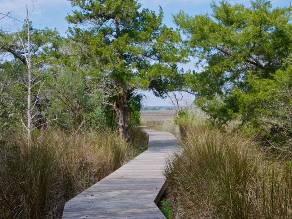 96018 Brady Point Road Fernandina Beach, FL 32034 - Photo 10 of 10 Gallery Image 10