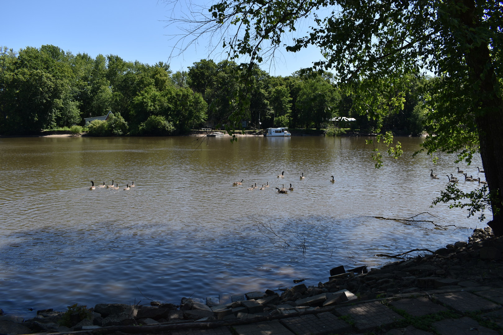 2845 River Road Kankakee, IL 60901 - Photo 5 of 26 a view of a lake with a lake