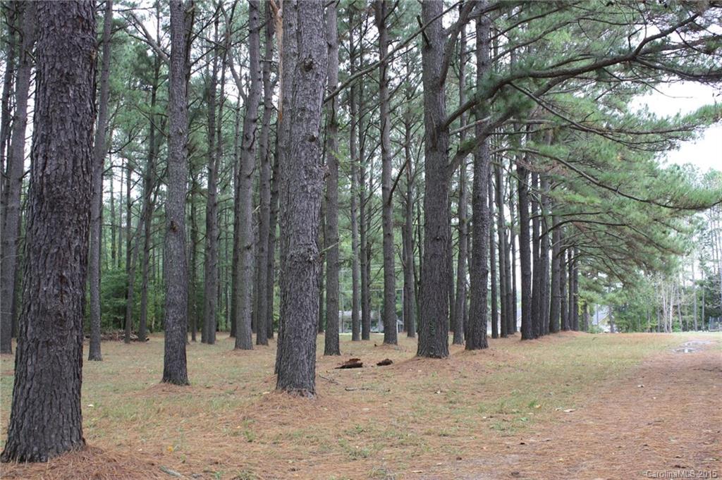 12660 Bethel School Road Midland, NC 28107 - Photo 2 of 23 Gallery Image 2