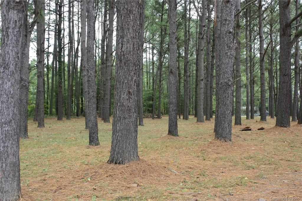 12660 Bethel School Road Midland, NC 28107 - Photo 7 of 23 Gallery Image 7