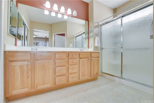 a view of a park with plants and trees