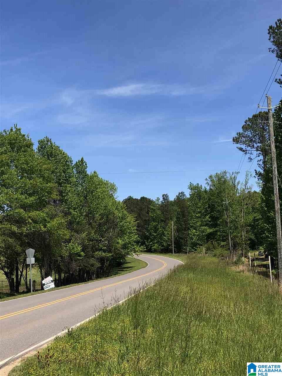 111 County Road 111 Montevallo, AL 35115 - Photo 38 of 46