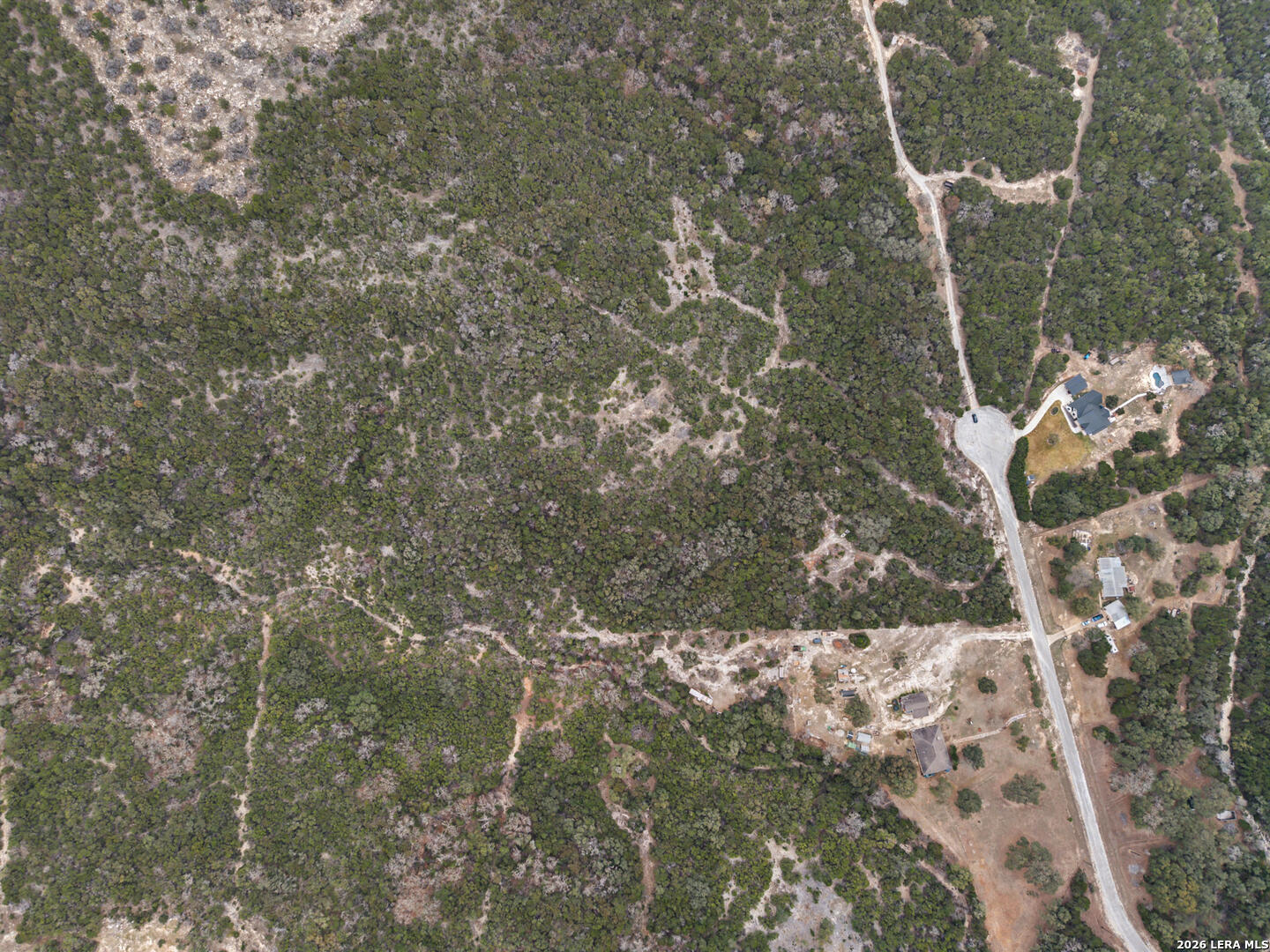 175 County Road 2765 Mico, TX 78056 - Photo 11 of 15 a picture of tree