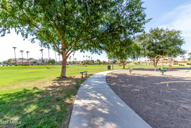 a view of a park with large trees