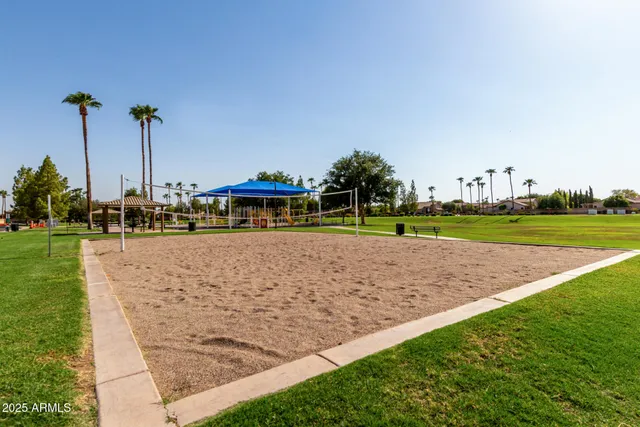 a view of a park with large trees