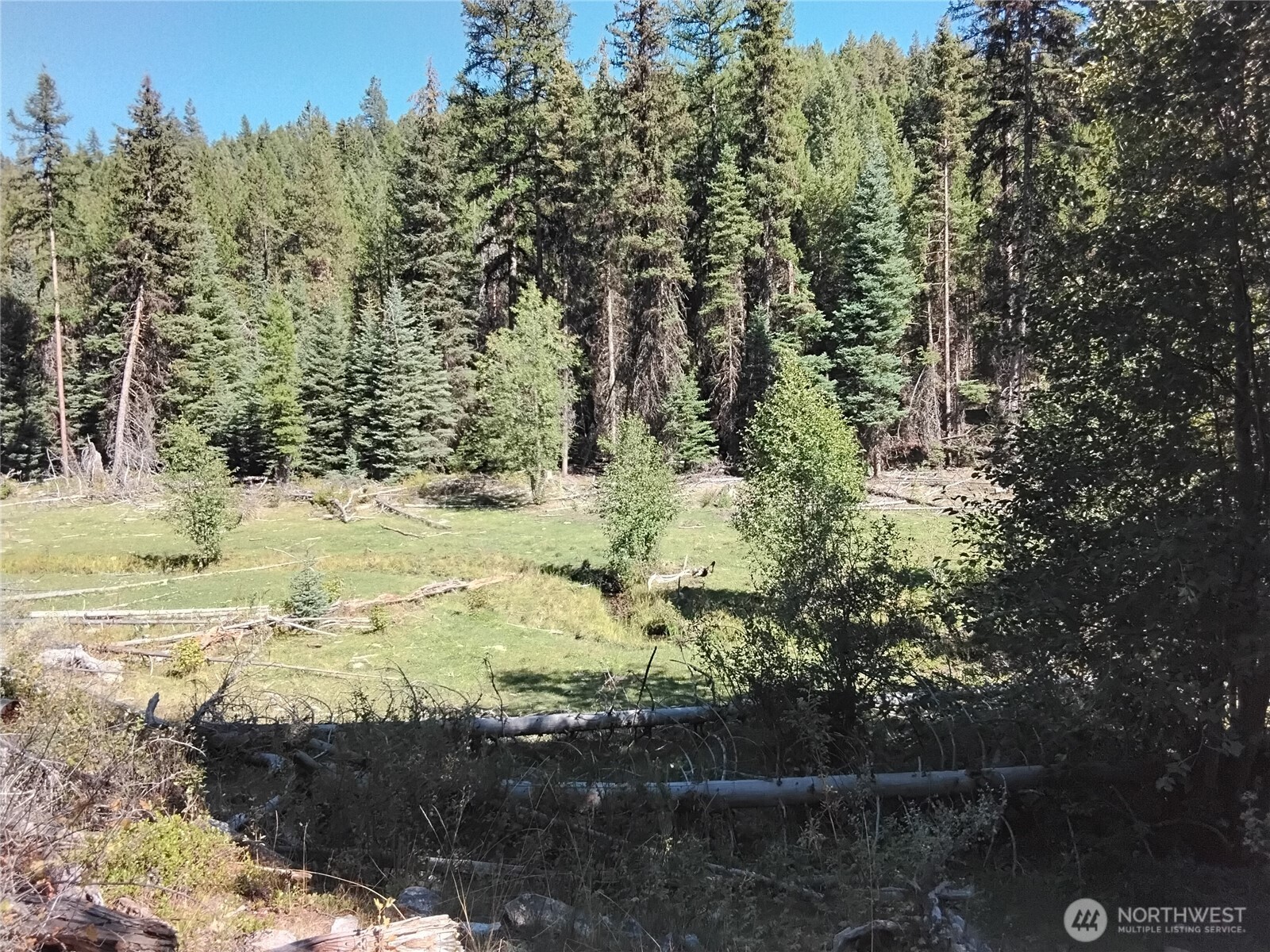 0 Little Place Road Tonasket, WA 98855 - Photo 1 of 23 a view of a yard with a tree