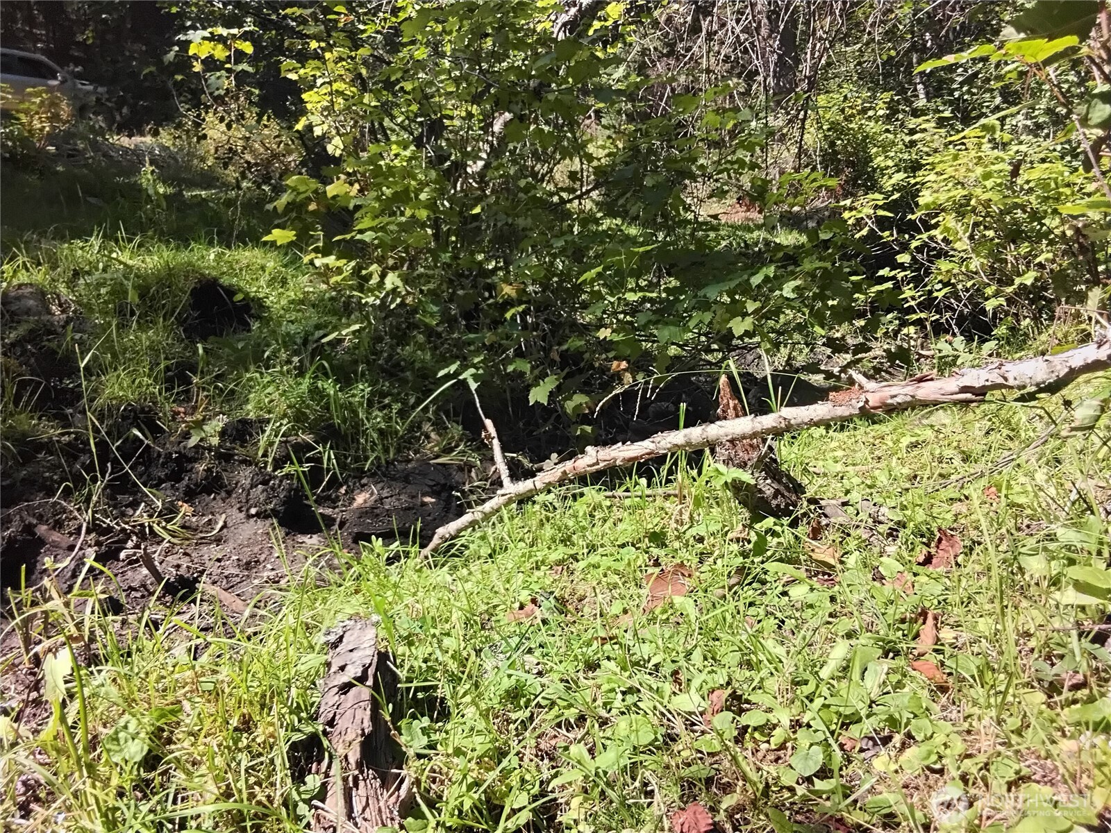 0 Little Place Road Tonasket, WA 98855 - Photo 12 of 23 a view of a garden