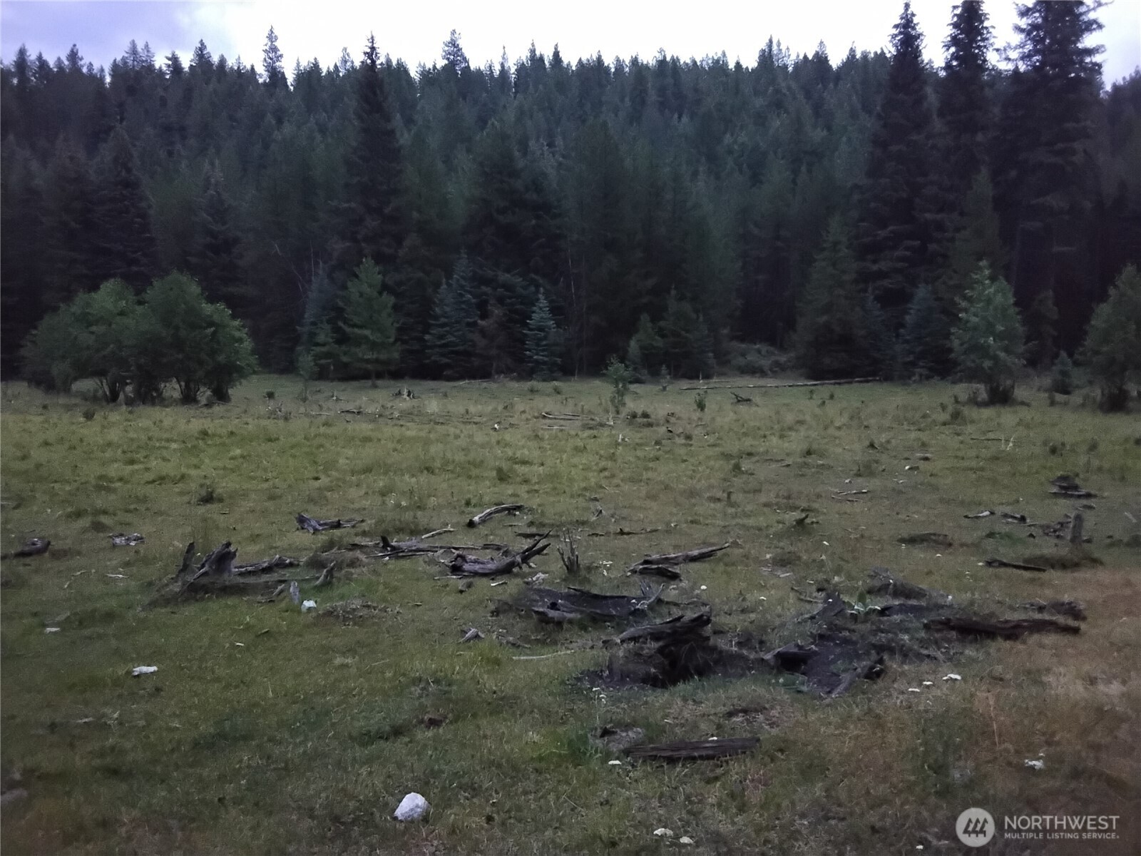0 Little Place Road Tonasket, WA 98855 - Photo 14 of 23 a view of a yard with trees in the background