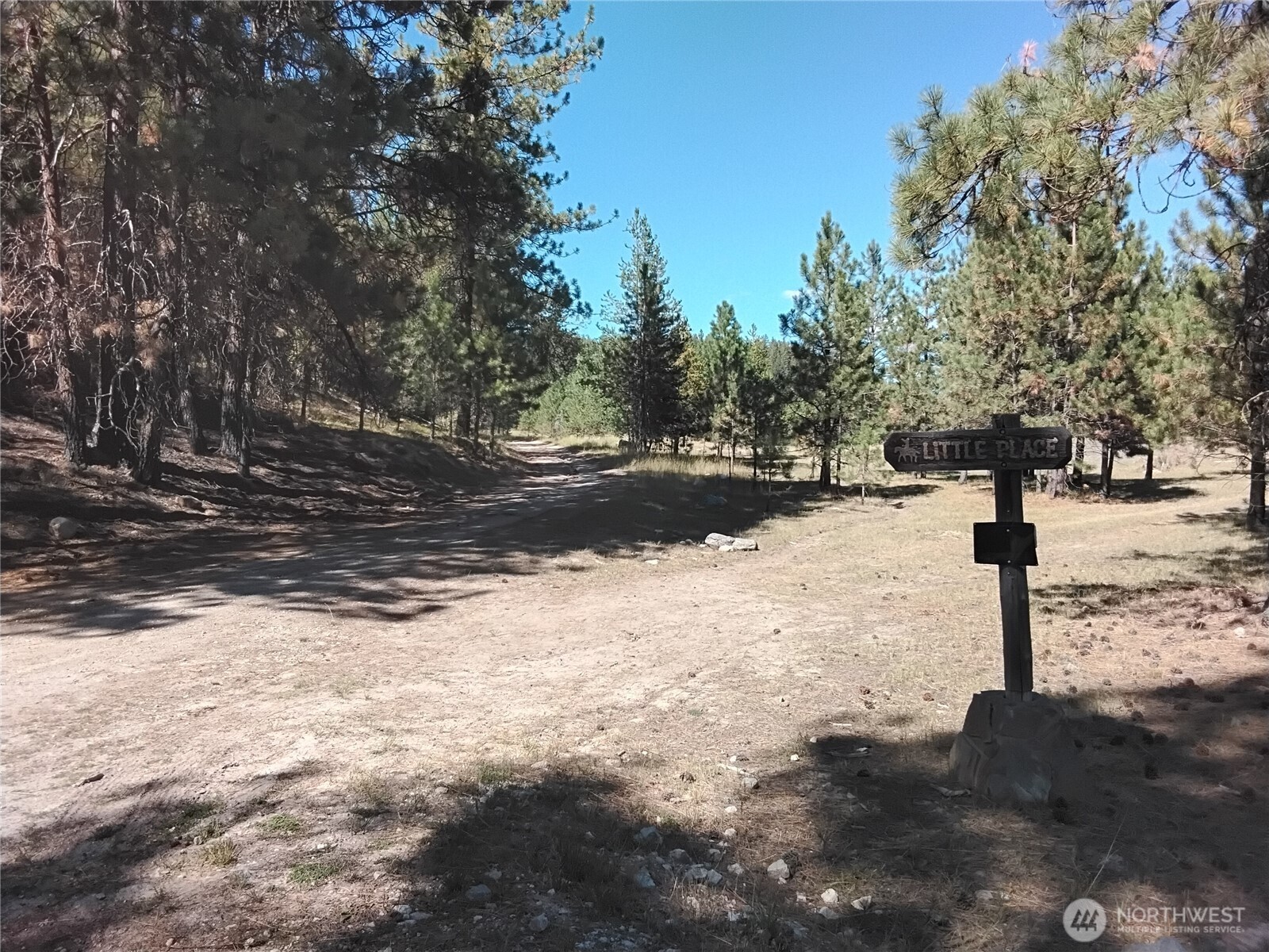 0 Little Place Road Tonasket, WA 98855 - Photo 17 of 23 a street view of road with trees