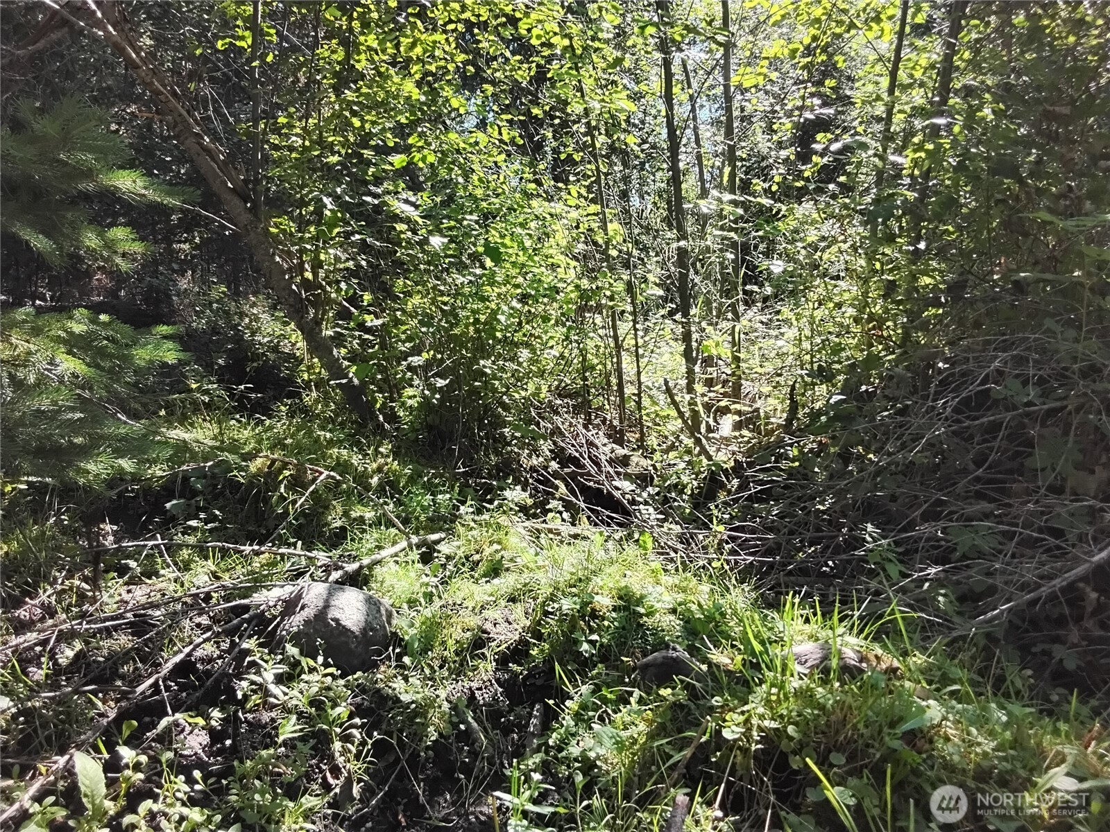 0 Little Place Road Tonasket, WA 98855 - Photo 18 of 23