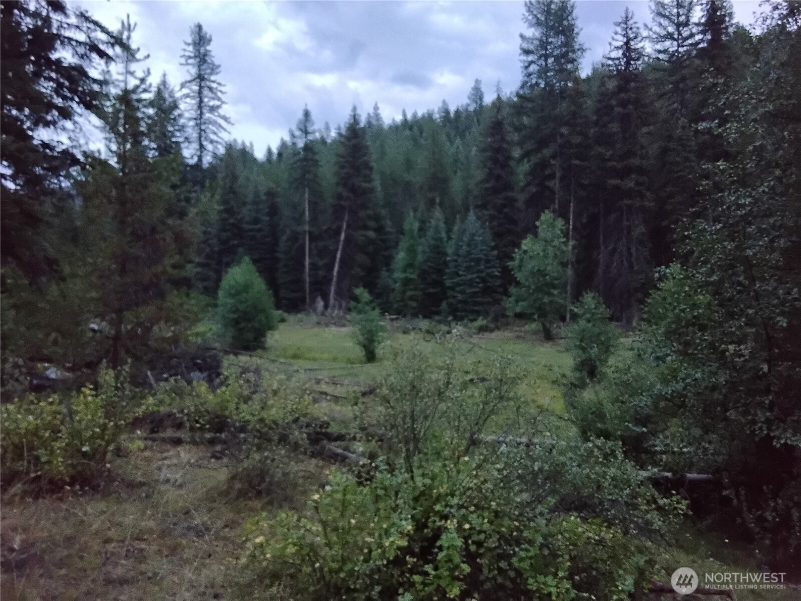 0 Little Place Road Tonasket, WA 98855 - Photo 19 of 23 a view of a lush green forest