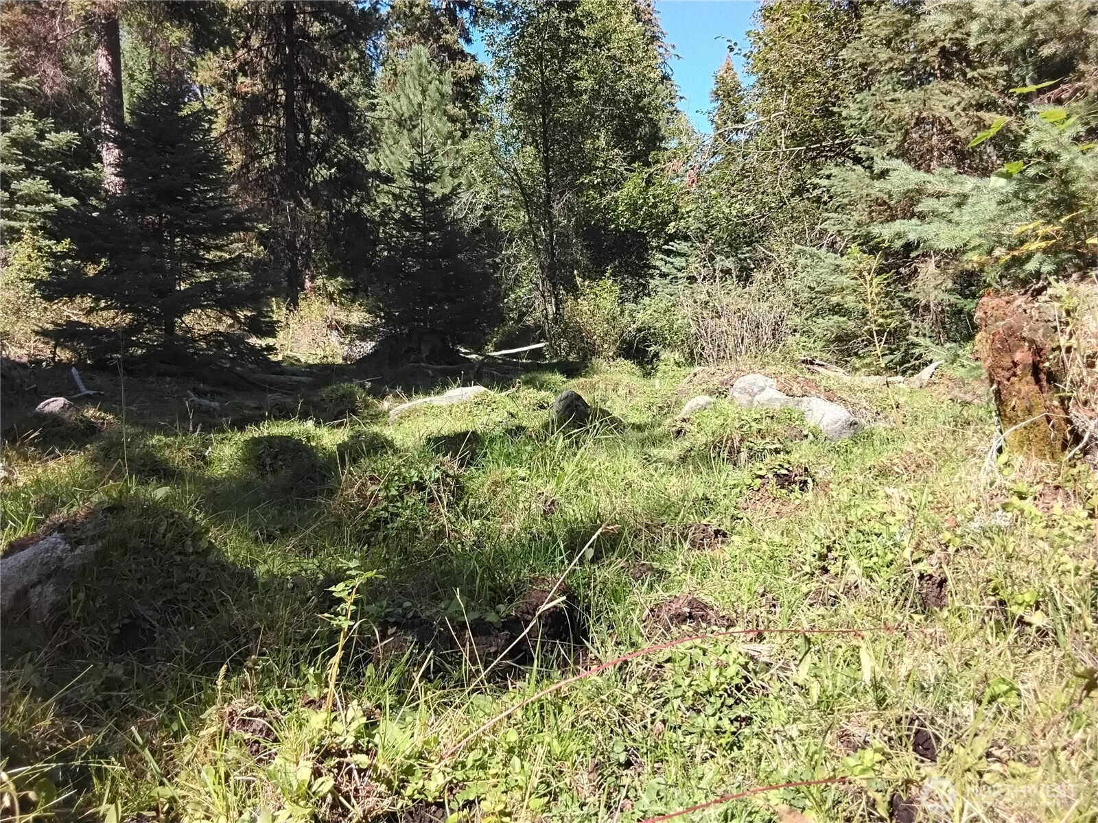 0 Little Place Road Tonasket, WA 98855 - Photo 2 of 23 a view of a garden