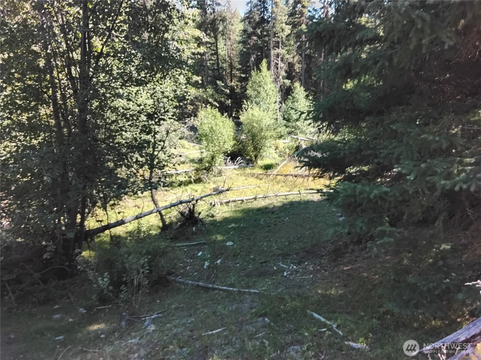 0 Little Place Road Tonasket, WA 98855 - Photo 21 of 23 a view of trees