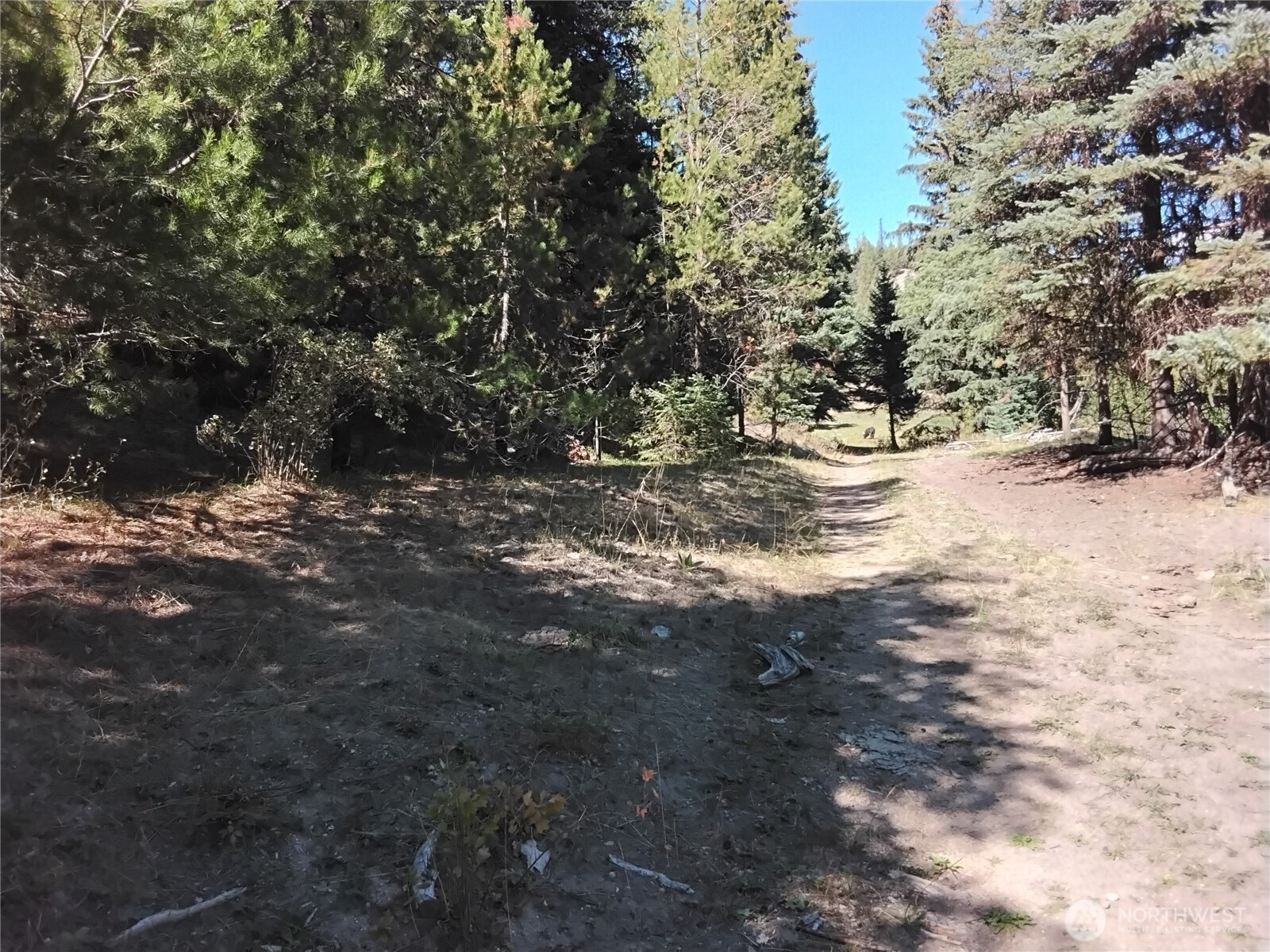0 Little Place Road Tonasket, WA 98855 - Photo 23 of 23 a view of a yard with trees