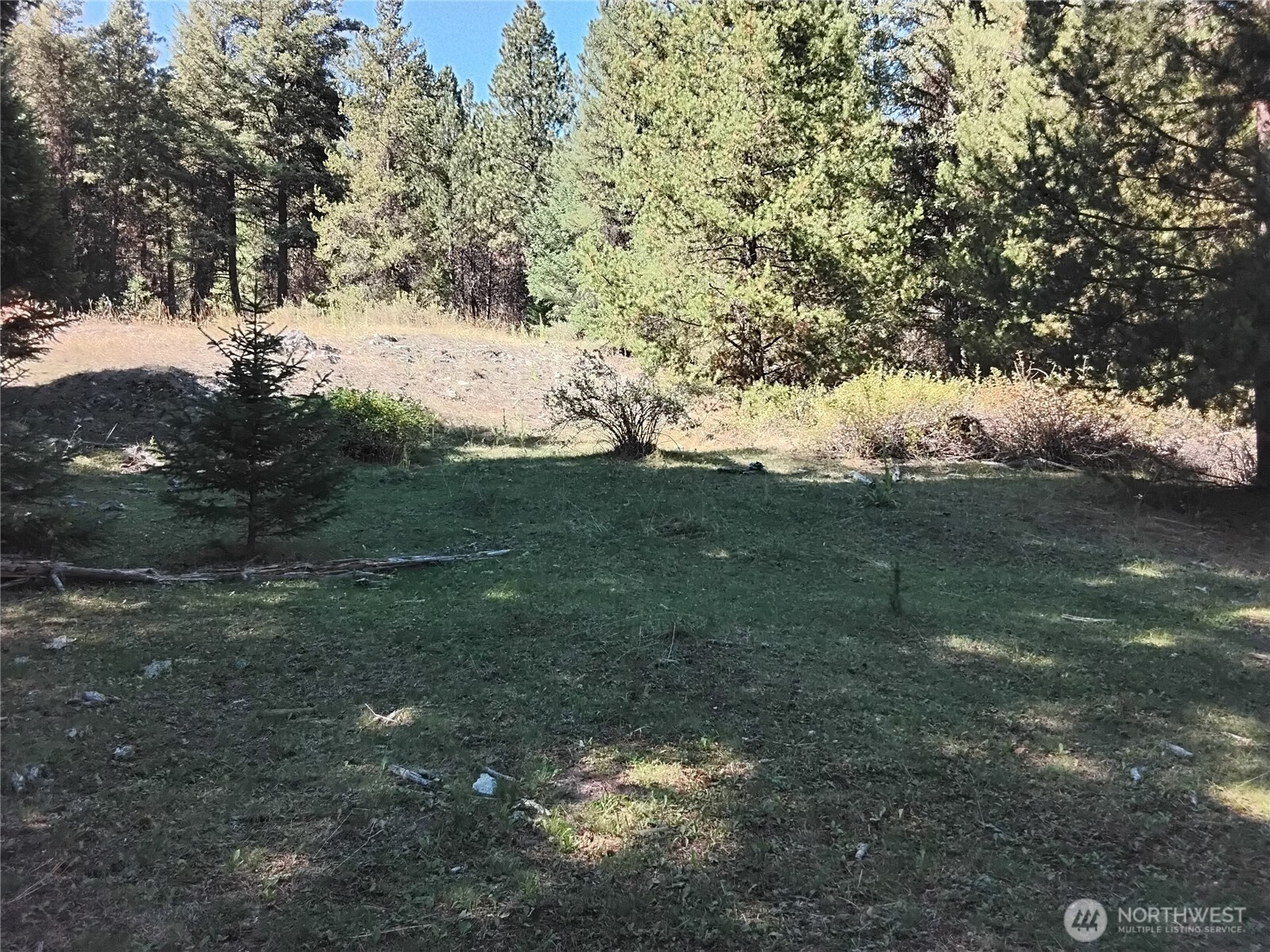 0 Little Place Road Tonasket, WA 98855 - Photo 5 of 23 a backyard of a house with lots of green space